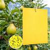 Generico 100/80 Pezzi Trappole Acchiappa Mosca Ciliegio, Trappole Gialle Adesive Biadesive per Insetti, Trappola Adesiva per Mosca Bianca e Mosca dell'Olivo (100)