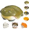 Generic Handmade Unique Frog Design Wireless Earphone Protective Cases,Ugly Frog Anti-Scratch Wireless Earphone Protector,Weird Toad Creative Animals Earbuds Covers for Airpods 4/Pro 3 (Green, for Pro 3)