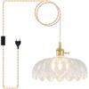 NETHCUEL Lampadario a Sospensione Plug In, Lampadario Vetro, Lampadario Vintage Trasparente, per Isola Cucina, Camera da Letto, Stanza da Pranzo, Sala da Vivere, Lampadine Non Incluse
