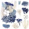 Cohentbliss Fiore Essiccato Pressati Fiori Secchi Veri Combinazione di Fiori Naturali Fiore Essiccato Naturale per Fai da Te Scrapbooking Candele Decorazione