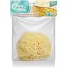 Difar Distribuzione Libellule Spugna Nat Mare 14