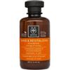 Apivita Linea Holistic Hair Care Shampoo Illuminante Rivitalizzante 250ml