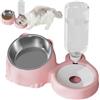 Generic Set di ciotole per cibo per gatti - inclinati con distributore automatico di acqua per animali domestici, in acciaio , grande capacità per cani, cuccioli e gattini, uso domestico