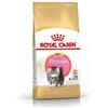 Royal Canin Race Persan crocchette per gattino