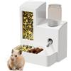 Generic Mangiatoia automatica per criceti, dispenser di cibo staccabile per criceti, gerbilli, porcellini d' e conigli, capacità 80 ml 120 ml, uso interno ed esterno, camera da soggiorno