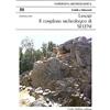 Carlo Delfino Editore Lanusei Seleni complesso archeologico