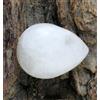 20.40 CT Naturale Pera Cabochon Bianco Pietra di Luna Loose Gemma Certificato