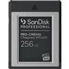 SanDisk - Scheda di memoria flash - 256 GB - CFexpress tipo B - Nero