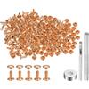 QUARKZMAN 100 Set Rivetti in Pelle 8 x 6mm Elementi Fissaggio Borchie Rivetto a Doppio Cappuccio Metallo 3Pz Montaggio Chicago per Borse Scarpe Pelle Riparazioni, Tono Oro Chiaro