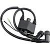 GPJTJROL for T/O/H/A/T/S/U 3A0-06048 Bobina di accensione con Tappo M/e/r/c/u/r/y Motore fuoribordo 25HP 30HP 3A0-06048-1 160643 8M0047311 Motore for Barca