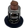 AYZLGAA for Johnson Evinrude Outboard Motor 9.9 15 6-55 HP 40-250 HP 378065 393659 434841 437414 5005440 508626 143°f/62°c Thermostat