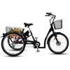 SachsenRAD Cargo Bicicletta Elettrica T3A Trio con allarme, E-Bike da 250W con display LCD e luci LED approvate StVZO per il trasporto bambini, batteria LG durevole,nero