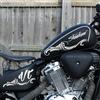 worldcustomchopper Adesivi Stikers Arabeschi da serbatoio scocca custom compatibili con Honda Shadow VT 600 750 1100 (Bianco)