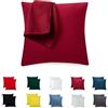 Flowen Federe Cuscini Divano 50x50 Set da 2 Copricuscini Decorativi 100% Cotone Jersey Tessuto Morbido Anallergico Antiacaro e Traspirante Fodere con Cerniera Nascosta Lavabili in Lavatrice