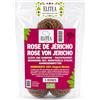 ÉLITEA Rosa di Jericho Chajarat
