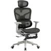 Future Warrior Sedia ergonomica da ufficio, supporto lombare, sedia direzionale regolabile in altezza, sedia girevole, sedia a rete (nero, XXL)