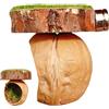 Genérico Habitat Per Ragni | Accessorio Artigianale Per Nascondi | Decorazione Artigianale Per Recinzioni Di Rettili E Anfibi | Casa Di Riposo Per Treppare Per Terrari Di Tarantola, Ambiente Per Gabbie