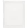 INTERBLIND | Tenda avvolgibile trasparente, 100 x 250 cm (larghezza per altezza) - Tenda avvolgibile misura del tessuto 97 x 245 cm - Tenda traslucida ecru - Tenda per finestre premium