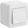 Electraline 60484 contenitore da superficie Pulsante 10A FIXA, bianco, IP40, compatibile per installazione con tubo rigido e canalina