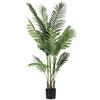 BIZZOTTO PIANTA KENZIA CON VASO H140 0172837