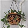 NONE Vaso da fiori con catena rotonda in ferro marrone cocco, vaso da fiori europeo creativo, pianta verde carnosa, vaso da fiori Chlorophytum Comosum