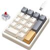 Kisnt KN17 - Tastierino numerico meccanico cablato, 17 tasti, sostituibile a caldo, con retroilluminazione bianca e copritasti in PBT, per tastiere compatte e PC portatili (beige retrò, interruttore
