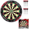 Target Darts Rift Bersaglio e LED Luce | Punta in Acciaio Freccette Board con Bright Bersaglio Illuminazione | Filo Senza Graffette | Includes Due Sets di 17G Darts | Facile Montaggio Completo Inizio