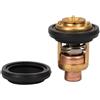 AYZLGAA for Yamaha 4 Stroke 2.5hp 4hp 8hp 15hp 30hp 40hp 50hp 60hp 70hp 80hp Outboard 66m-12411 66m-12411-00 Thermostat 6g8-12411