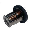 AYZLGAA for 17670-94j01 Kit termostato 60° Compatibile con Motori fuoribordo Suzuki Df8 DF 9.9 Df15 Df20 Df25 Df30 17670-94j02 17670-94j00
