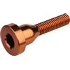 BURGTEC Vite serie sterzo