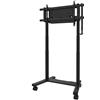 Neomounts FL55-975BL1 Carrello TV MOVE Lift XL - 75-115 motorizzato