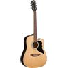 Eko Chitarra acustica elettrificata spalla mancante Eko Ranger CW EQ natural VAN3L