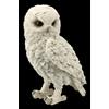 Schneeeulen Figura - Snowy Watch Piccolo - Natura Uccello Rapace Uhu Gufo