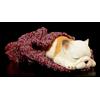 Deko Figur Bulldogge Cucciolo Cane Razza FS16642, Multicolore, Poliresina