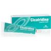 Cicatridina unguento nasale 15 g - CICATRIDINA - 938672793