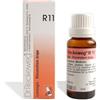 DR.RECKEWEG Reckeweg r11 gocce 22ml - DR.RECKEWEG - 909462259