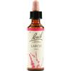 Larch bach orig 20 ml - - 942859303