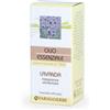 FARMADERBE Lavanda olio essenziale 10 ml - FARMADERBE - 900904842