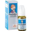 SCHWABE PHARMA ITALIA Chamodent 10g 800gl - SCHWABE PHARMA ITALIA - 800149015