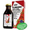 Floradix ferro e vitamine 250 ml - FLORADIX - 906706027