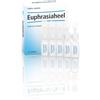 GUNA Euphrasiahell collirio 15f - GUNA - 800467060
