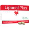 Lipocol plus 30 compresse - LIPOCOL - 926739160