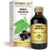 GIORGINI Gemmo 10+ ribes nero 100 ml liquido analcolico - GIORGINI - 924273624