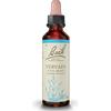 SCHWABE PHARMA ITALIA Vervain bach orig 20 ml - SCHWABE PHARMA ITALIA - 942860053