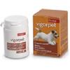 CANDIOLI Vigorpet cani barattolo 20 compresse - CANDIOLI - 903923617