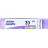 BOIRON Ledum palustre boi*30ch 80gr4g - BOIRON - 050835293