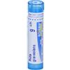 BOIRON Ruta grav boi*9ch gr 4g - BOIRON - 046363065