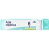 BOIRON Apis mellif 6ch gr 4g - BOIRON - 800159550