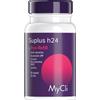PERLAPELLE Mycli suplus h24 hya refill 60 capsule - PERLAPELLE - 947240747