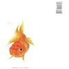 Devil E So Marko Vol.1 (CD)